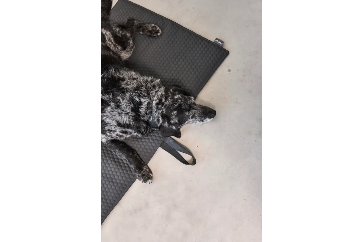 Cane Cosmo, travelBed, Grafiet