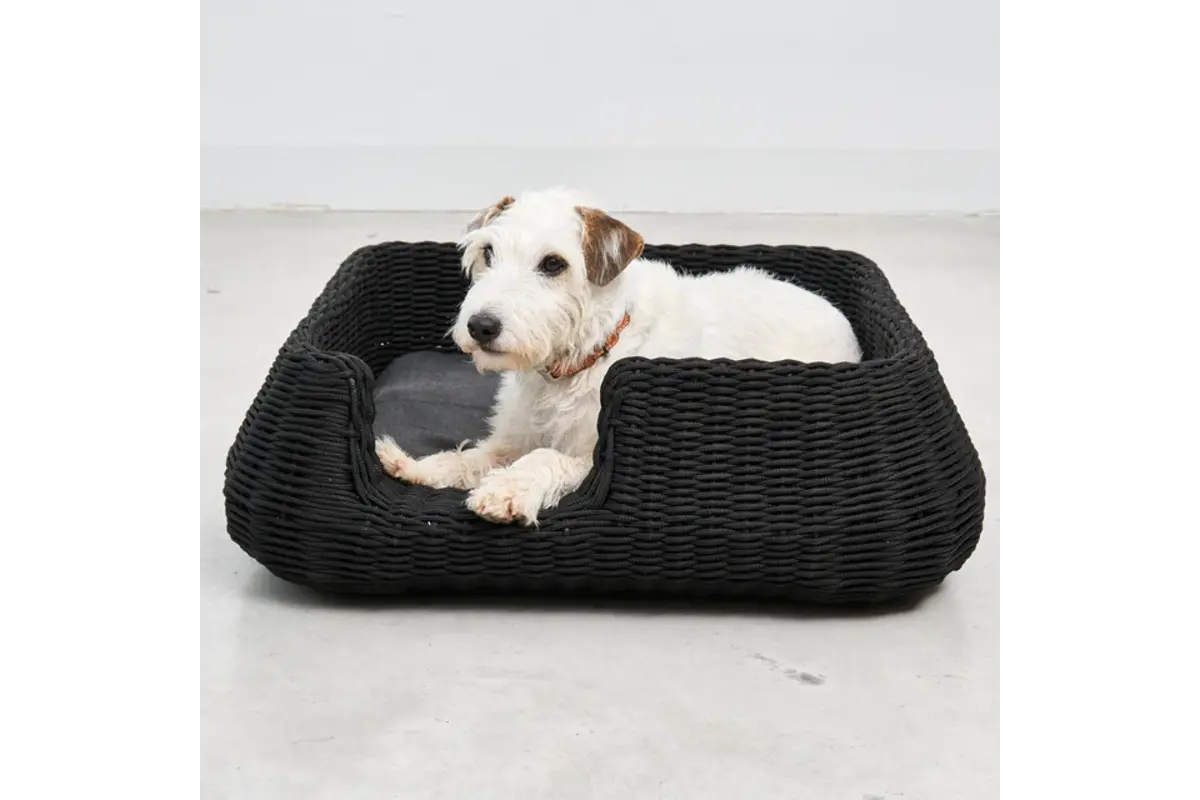 Mio, Dog Basket, Cover, Anthracite