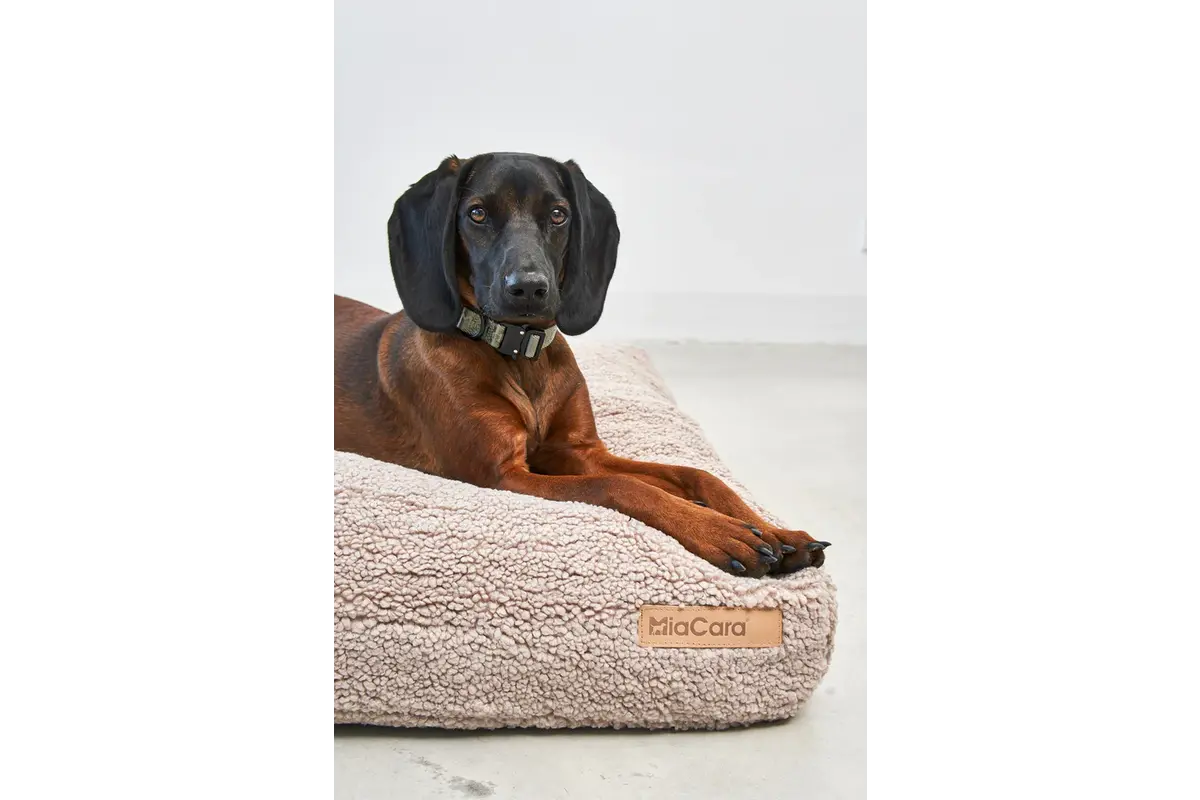 Cane Senso, Kissenüberzug, Greige
