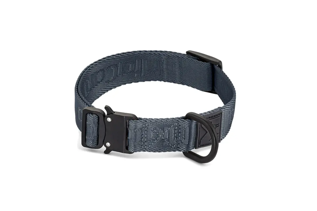 Cane Modena, Hundehalsband, Asphalt
