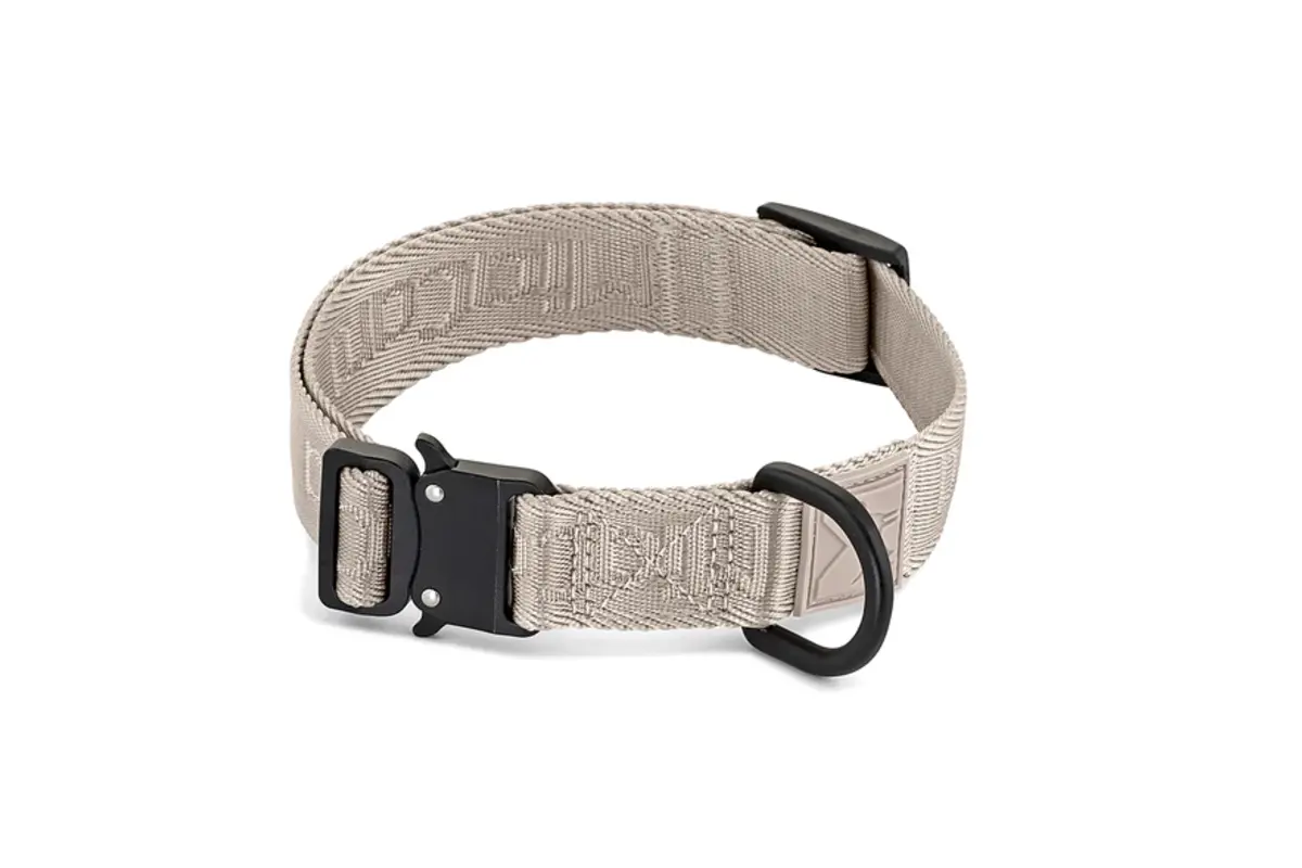 Cane Modena, Dog Collar, Greige