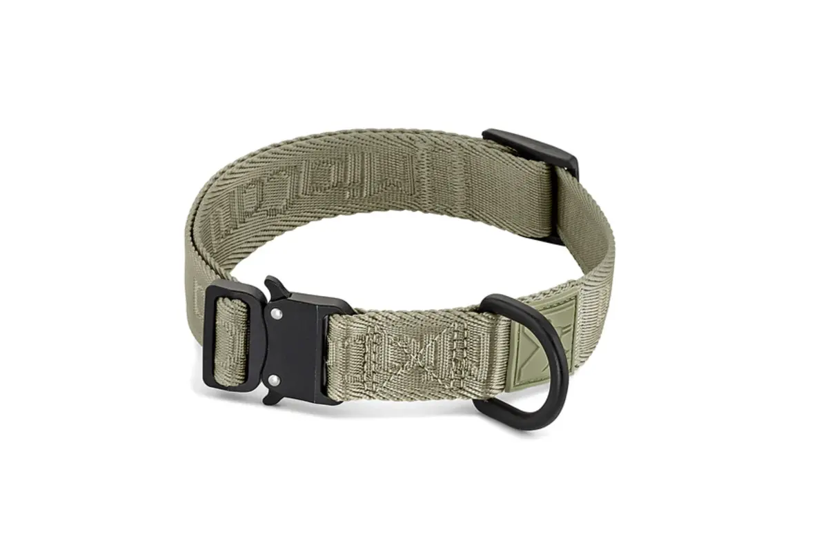 Cane Modena, Hondenhalsband, Grolive