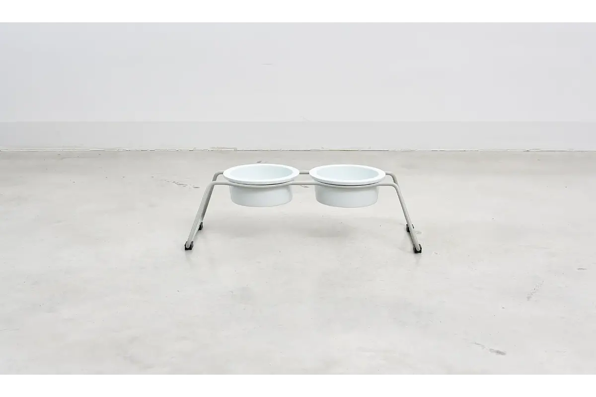 Cena, Dog Feeder, Powder-Coated Concrete, Porcelain White