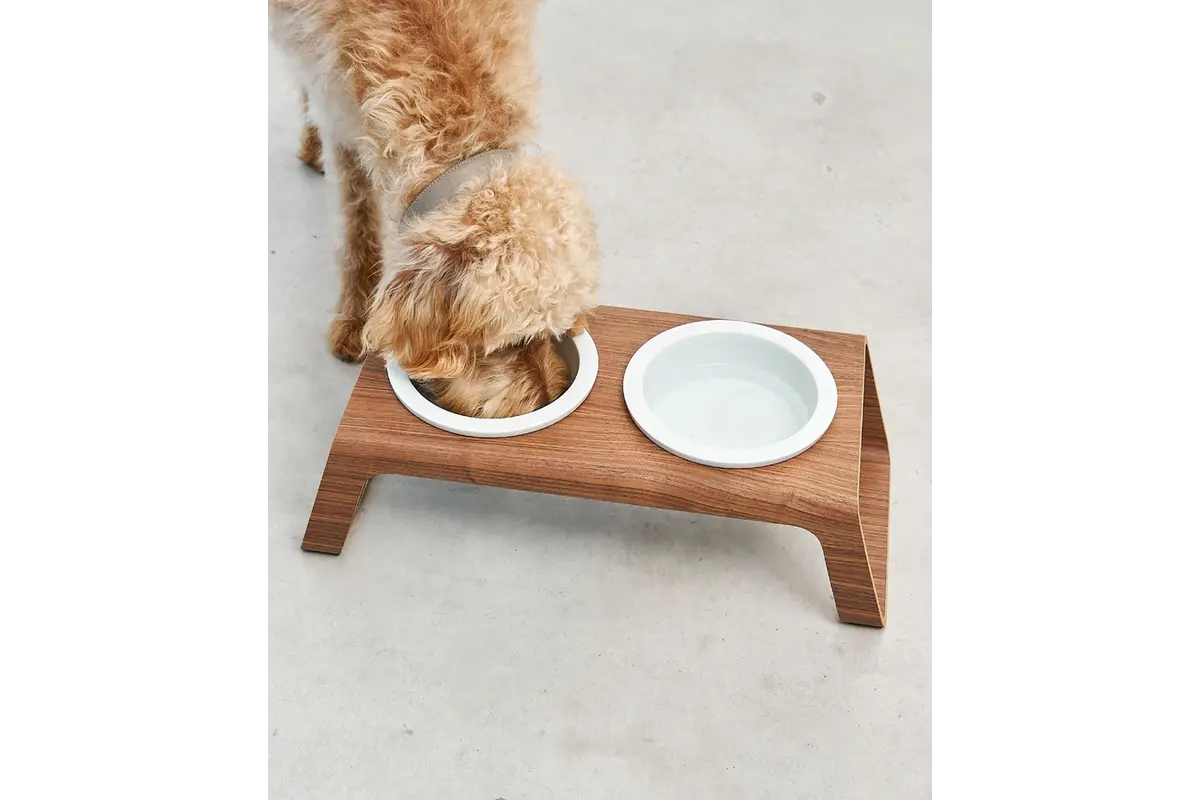 Desco, Dog Feeder, Walnut, Porcelain White