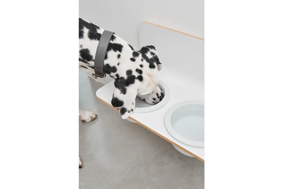 Cane Arco, Napfhalter mit Porzellannäpfen, HPL Weiß