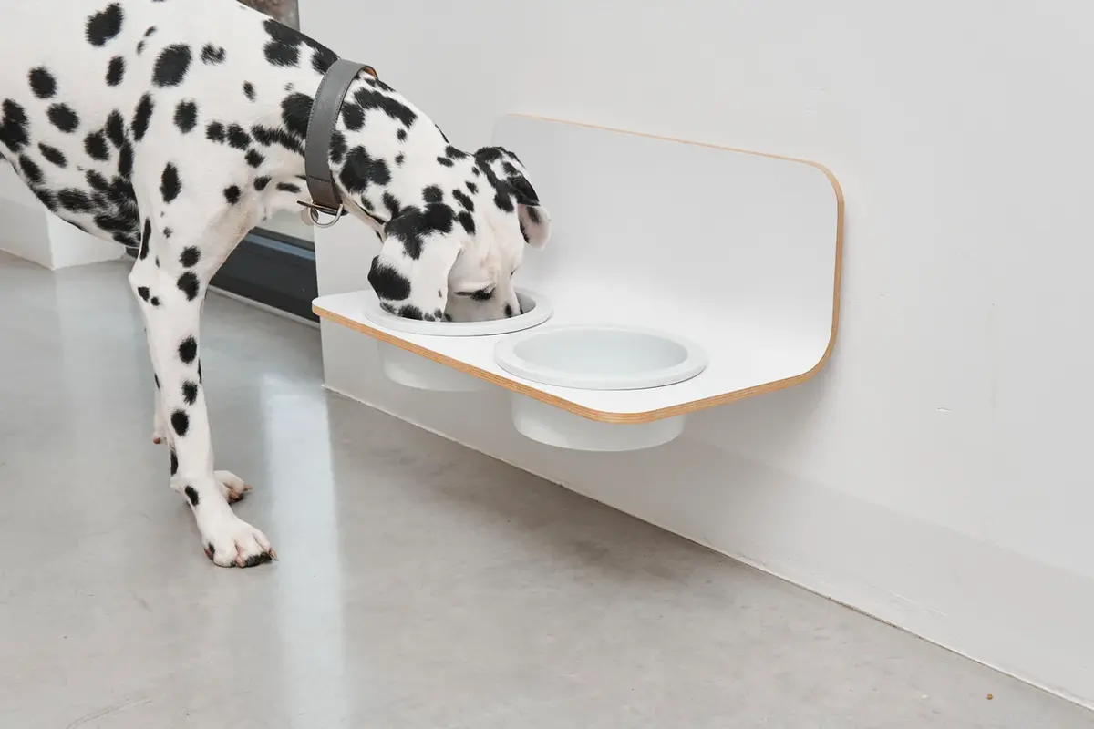 Arco, Dog Feeder, HPL White, Porcelain White