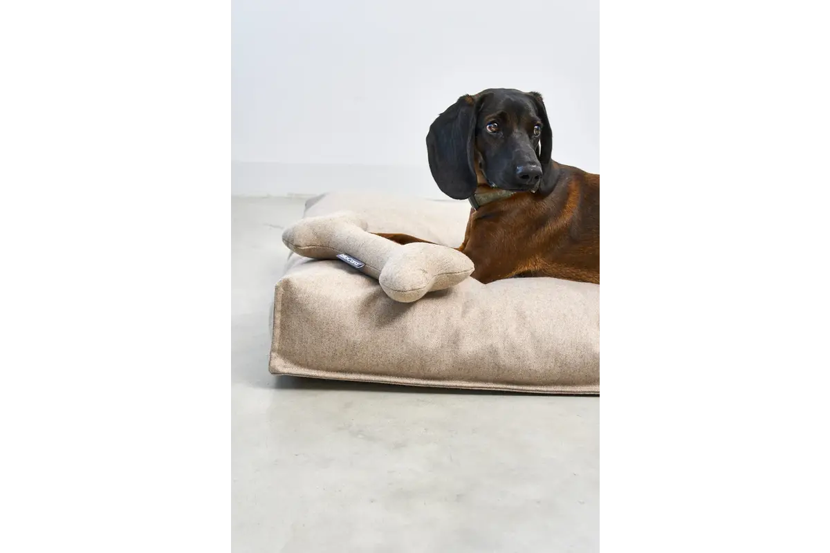 Cane Calma, Speelgoedbot, Zand
