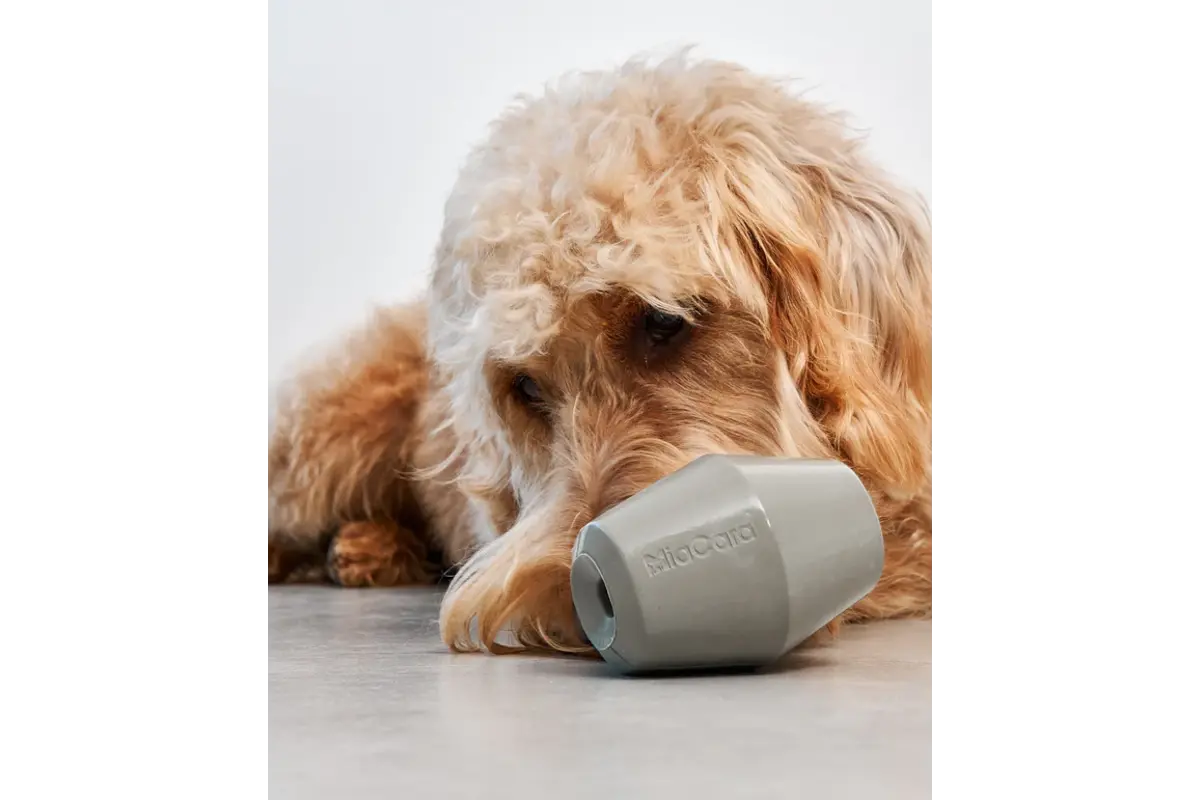 Cane Cono, Beschäftigungsspielzeug, Schiefer