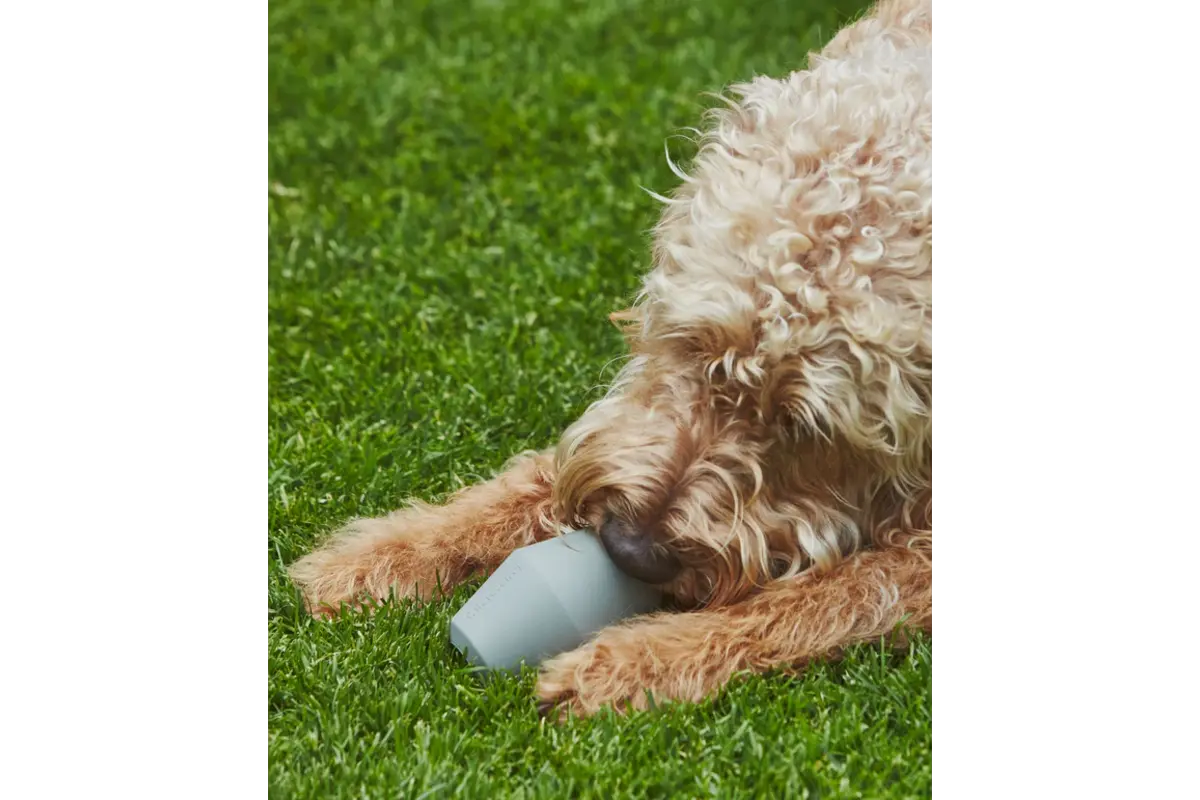 Cane Cono, Activiteit Speelgoed, Salie
