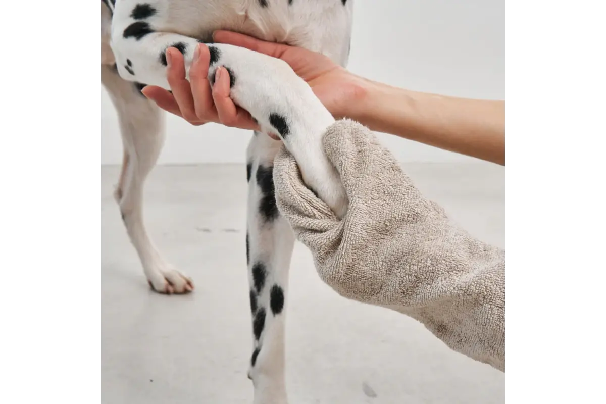 Cane Guanto, Droog Handschoen, Greige