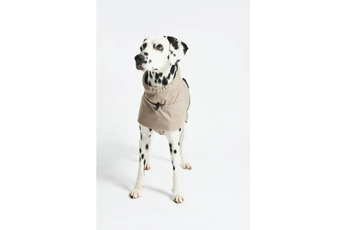 Cane Valentina, Regenmantel, Sand