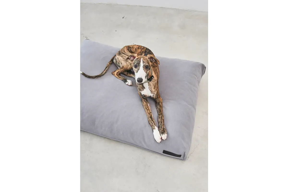 Cane Comodo, Dog Cushion, Slate