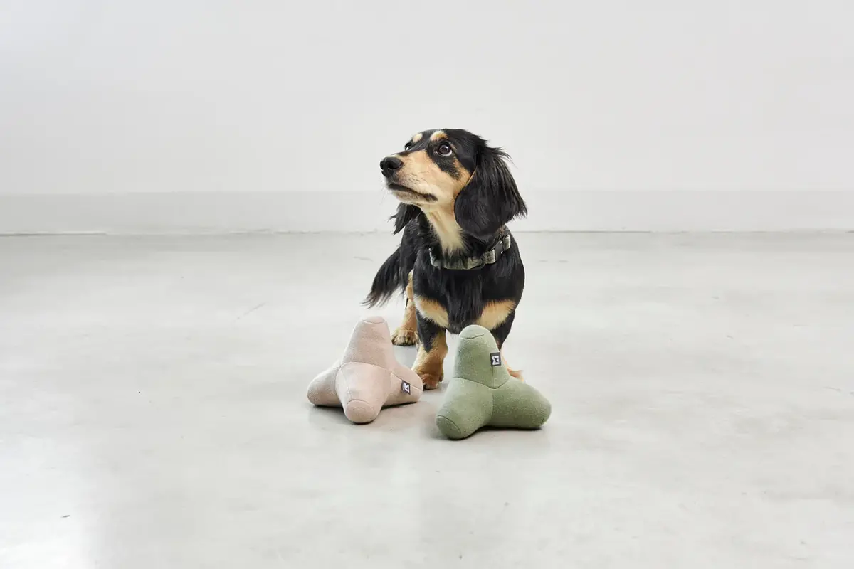 Cane Quattro, Hondenspeeltje, Greige
