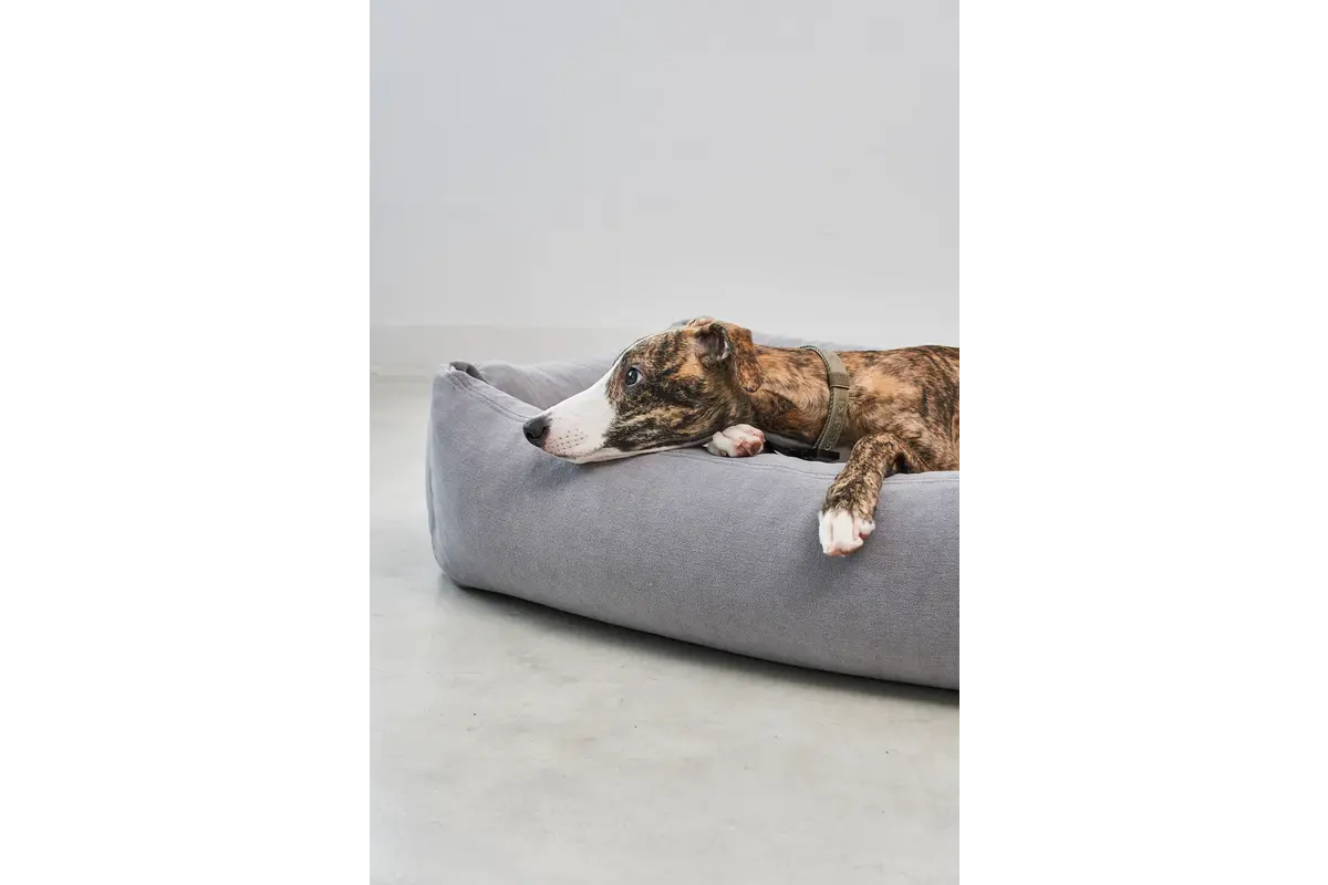 Cane Comodo, Hundebett, Schiefer