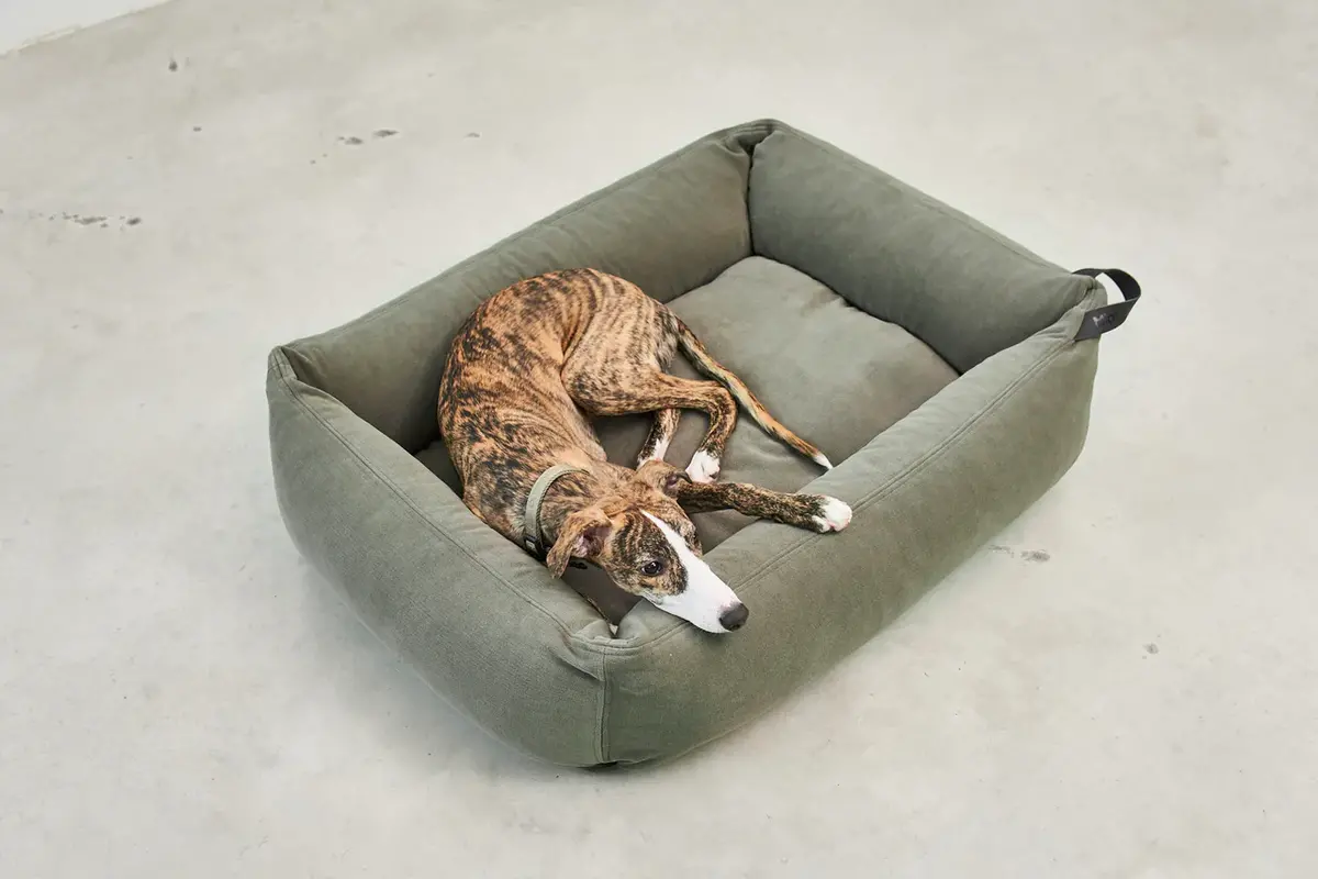 Cane Comodo, Box-Bett Überzug, Salbei