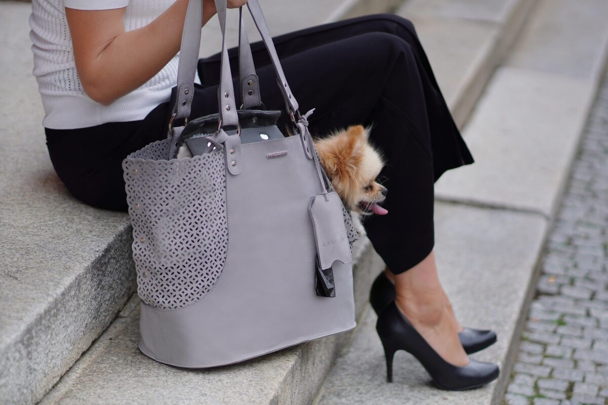 Labbvenn elva dog carrier light gray