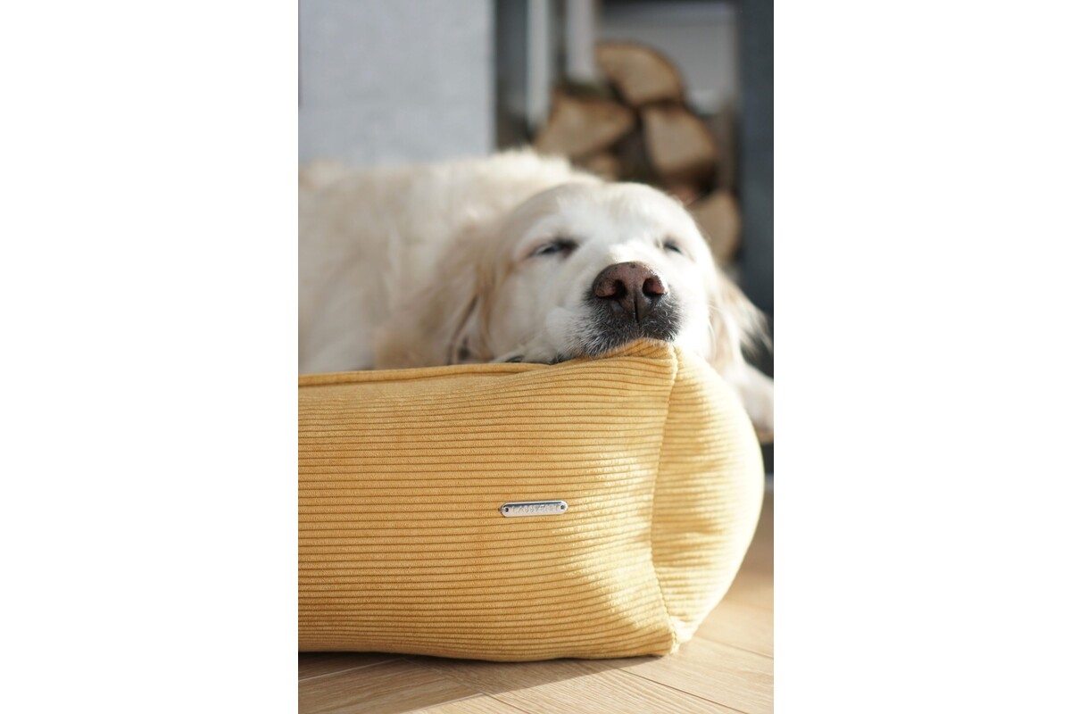 Labbvenn Strippo Dogbed Honey