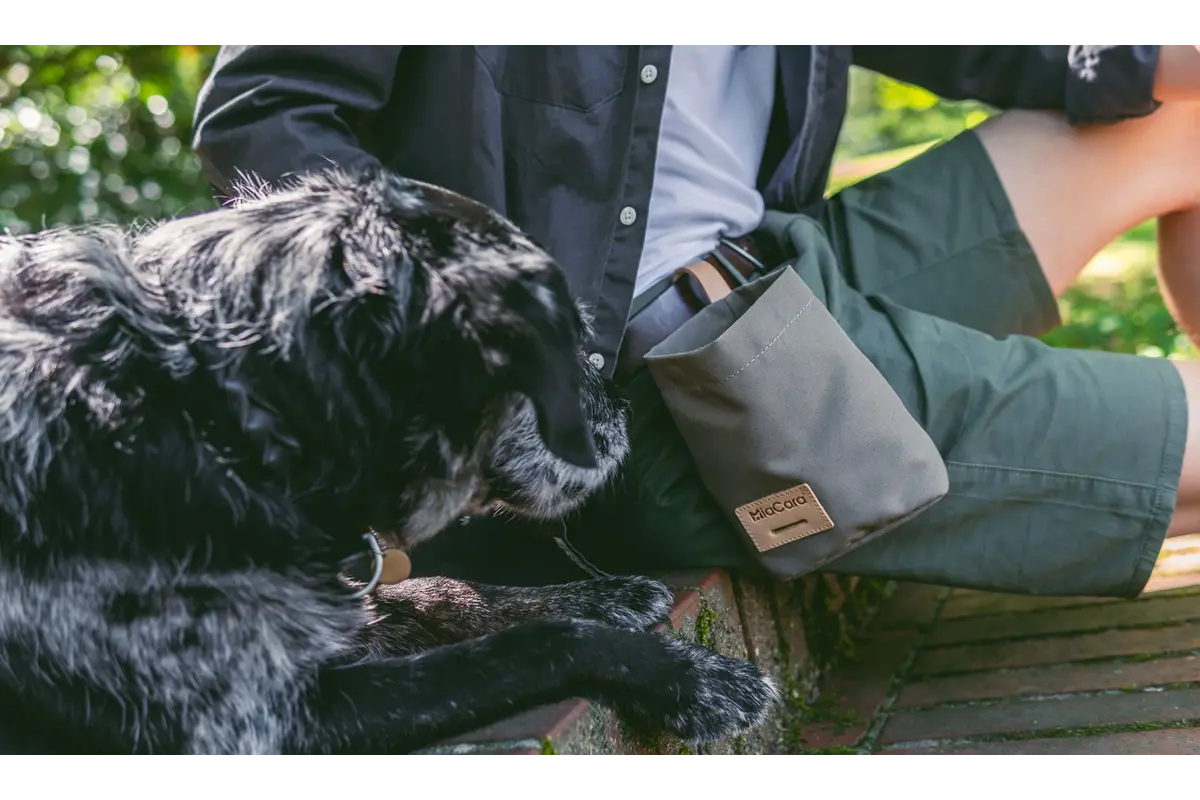 Cane Lupo, Snackzakje, Beton