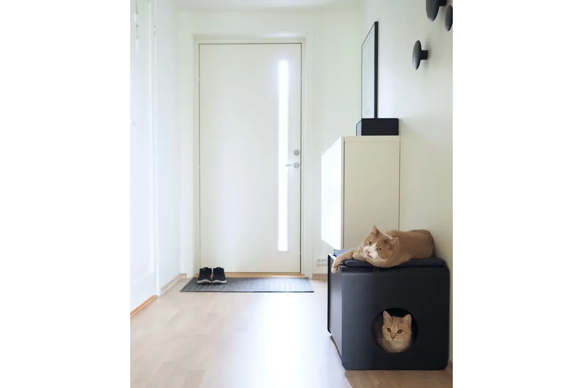 Gatto Sito, Kattenbak, Alu Zwart