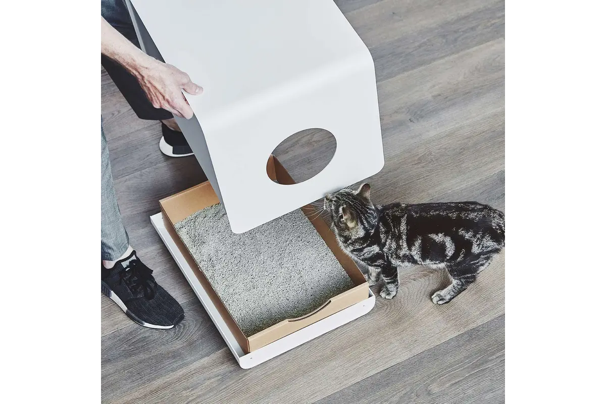 Gatto Sito, Inzetstukken, Set van 5
