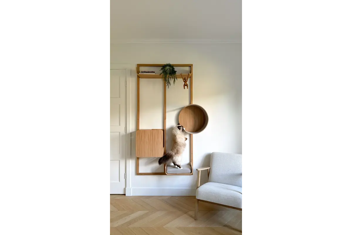Gatto Alto, Wall Climber, Shelf small, Oak Natural