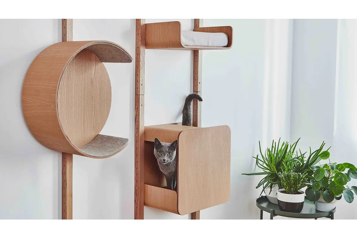 Gatto Alto, Wall Climber, Shelf small, Oak Natural