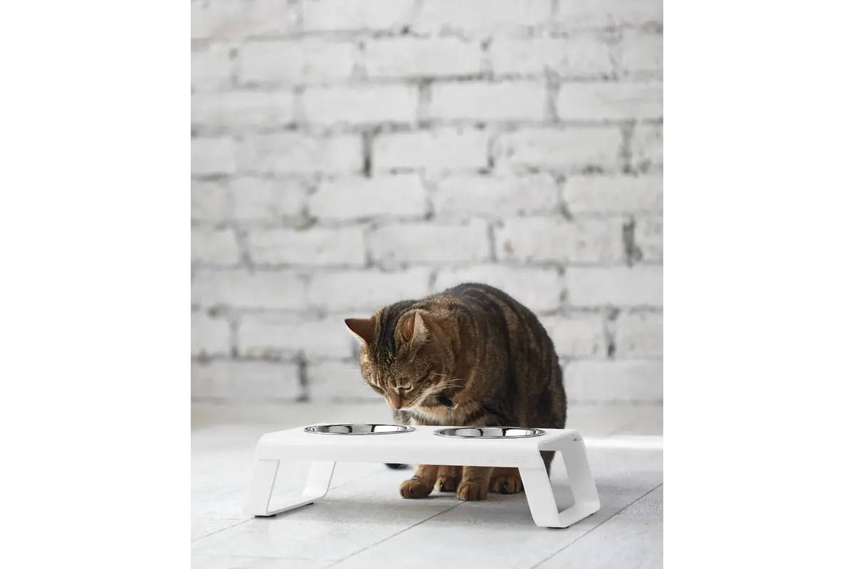 Gatto Desco, Napfständer mit Edelstahlschüsseln, Pulverbeschichtet Weiß