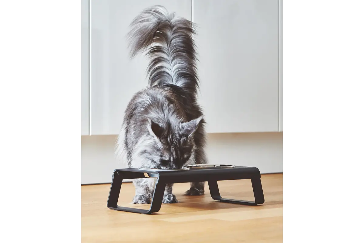 Gatto Desco, Napfständer mit Edelstahlschüsseln, Pulverbeschichtet Schwarz