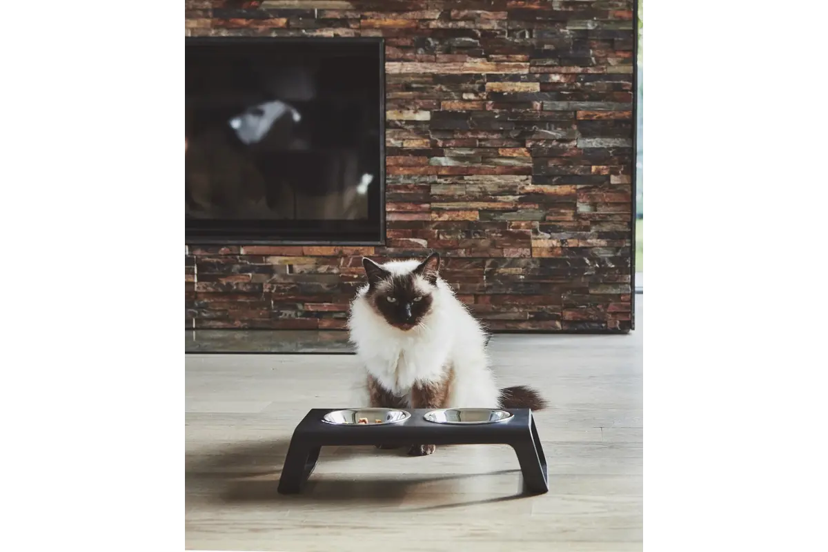 Gatto Desco, Napfständer mit Edelstahlnäpfen, Esche lackiert schwarz