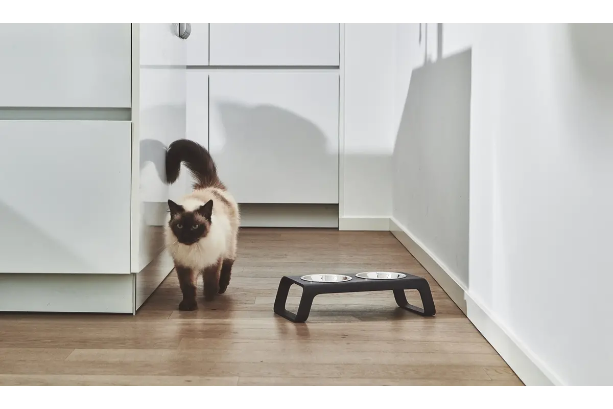 Gatto Desco, Napfständer mit Edelstahlnäpfen, Esche lackiert schwarz