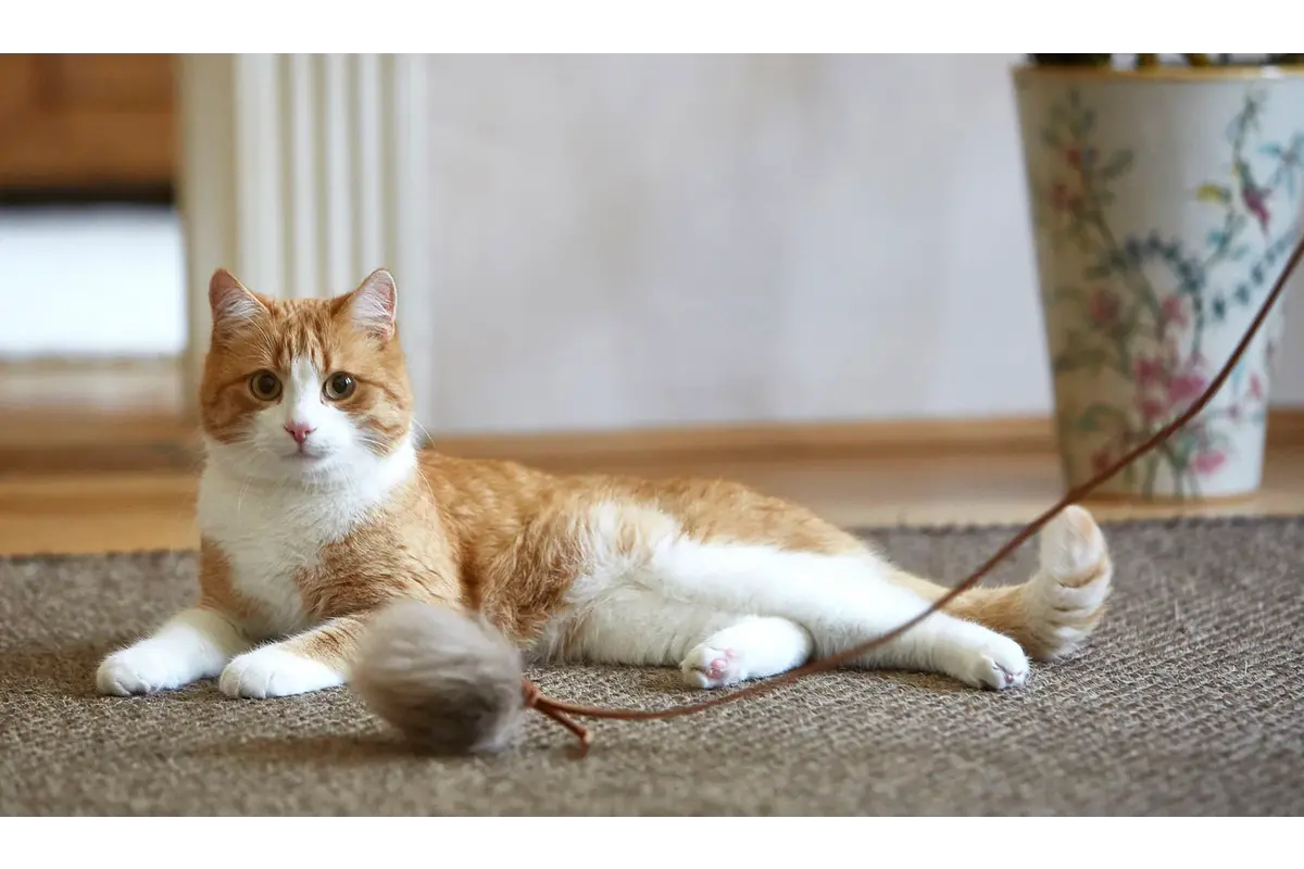 Gatto Topo, Cat Toy, Cognac/Taupe