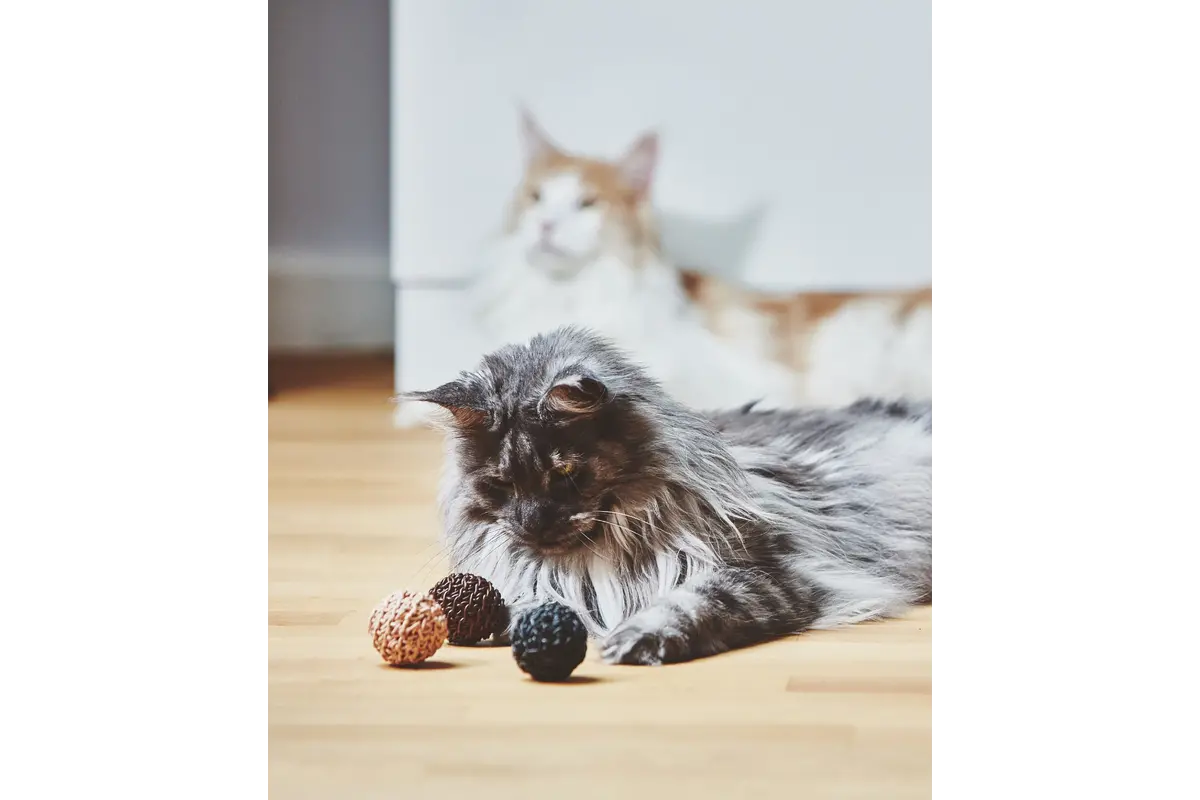 Gatto Filo, Kattenspeelbal, Bruin