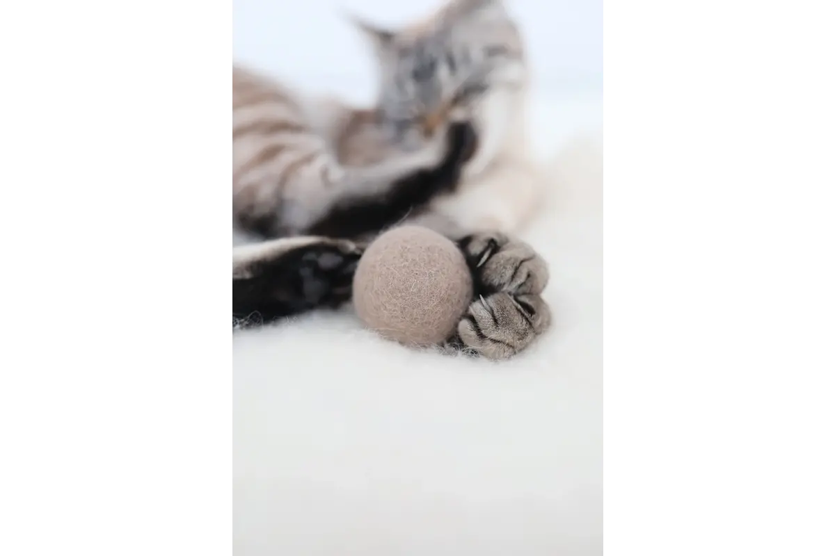 Gatto Globo, Kattenspeelbal, Chocolade