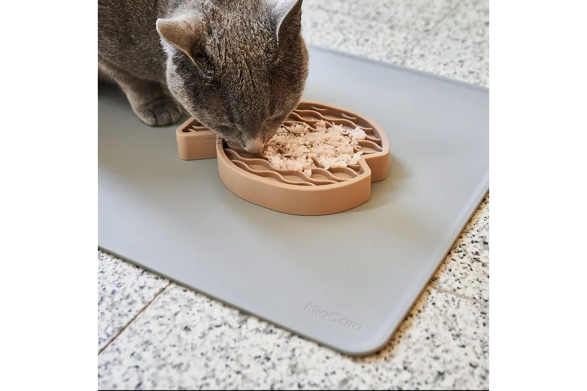 Gatto Tova, Katzennapfmatte, Schiefer