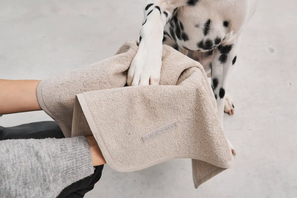 Cane Secco, Terry Dog Dry Towel, Greige