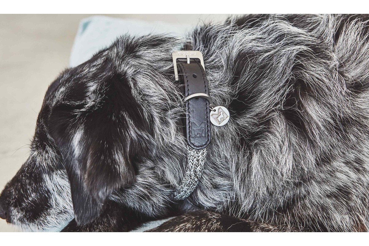 Cane Lucca, Hundehalsband, Ferro/Schwarz