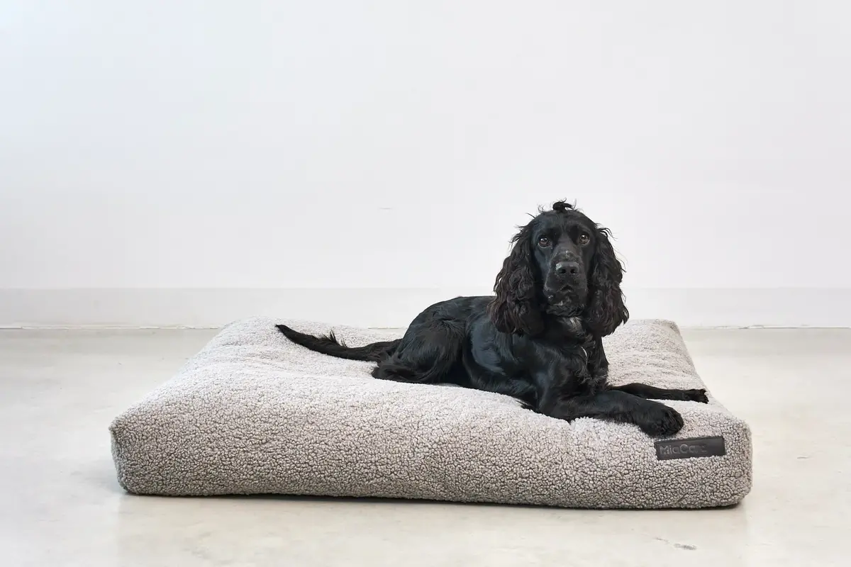 Cane Senso, Dog Cushion, Pebble