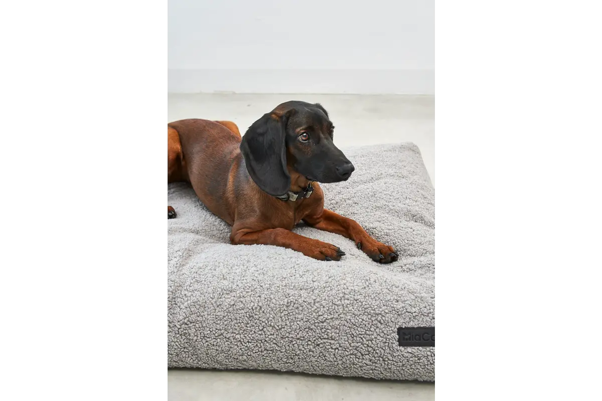 Cane Senso, Dog Cushion, Pebble