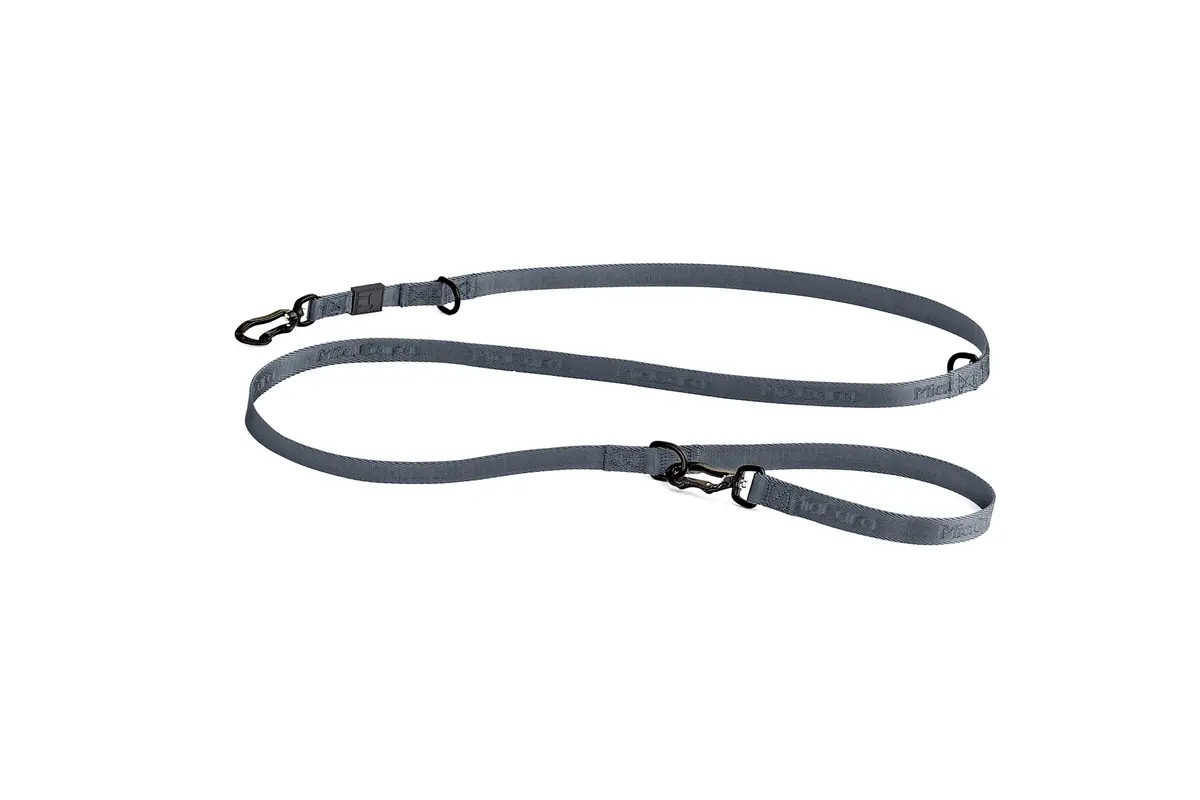 Cane Modena, Hondenriem, Asfalt