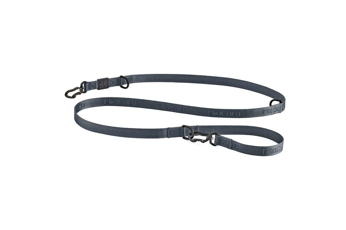 Cane Modena, Hondenriem, Asfalt