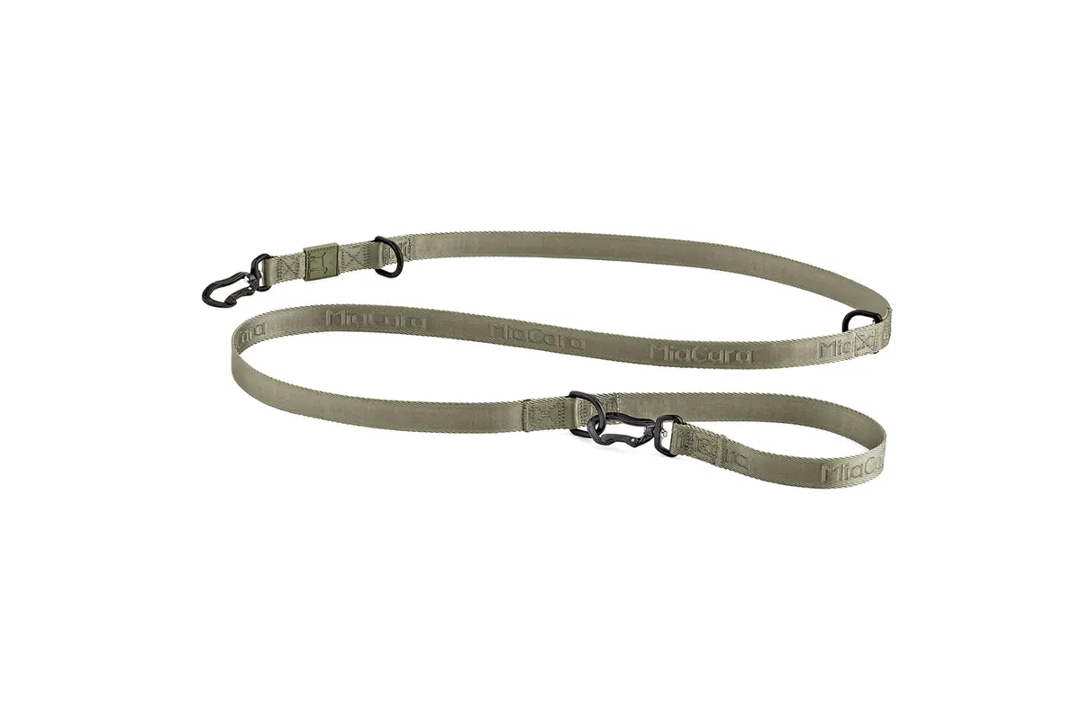 Cane Modena, Hondenriem, Grolive