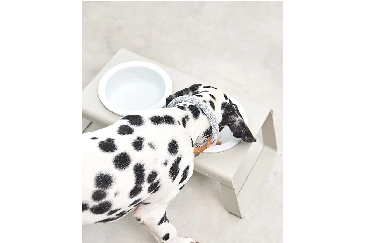 Cane Desco, Napfständer mit Porzellannäpfen, Pulverbeschichtet Weiß