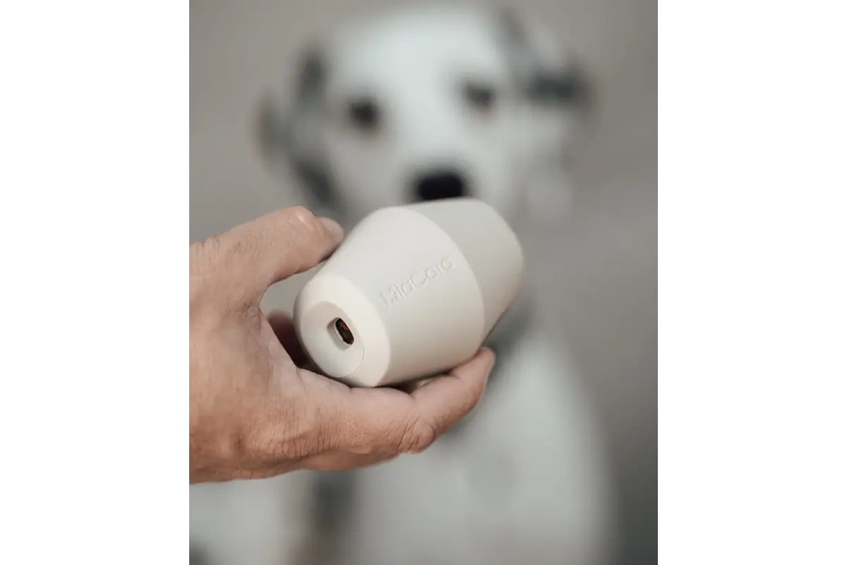 Cane Cono, Activiteit Speelgoed, Salie