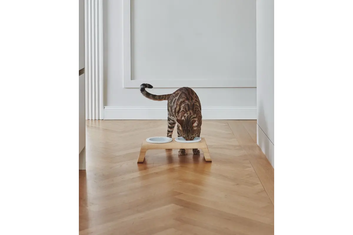Gatto Ersatznapf für Napfständer, Katzennapf Porzellan