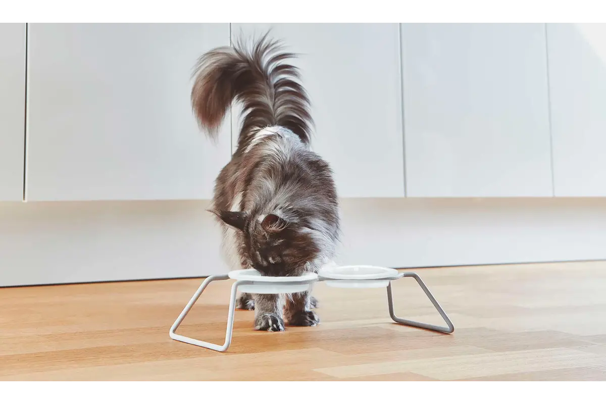 Gatto Vervangingsbak voor Voederbakken, Kattenvoerbak Porselein