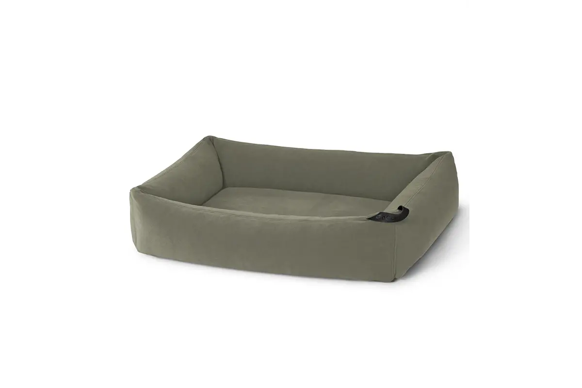 Cane Comodo, Hundebett, Salbei