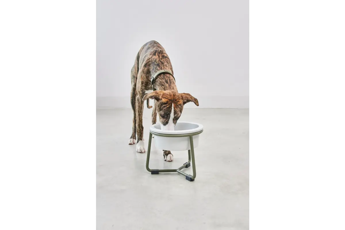 Cane Pranzo, Napfständer, Pulverbeschichtet Grolive