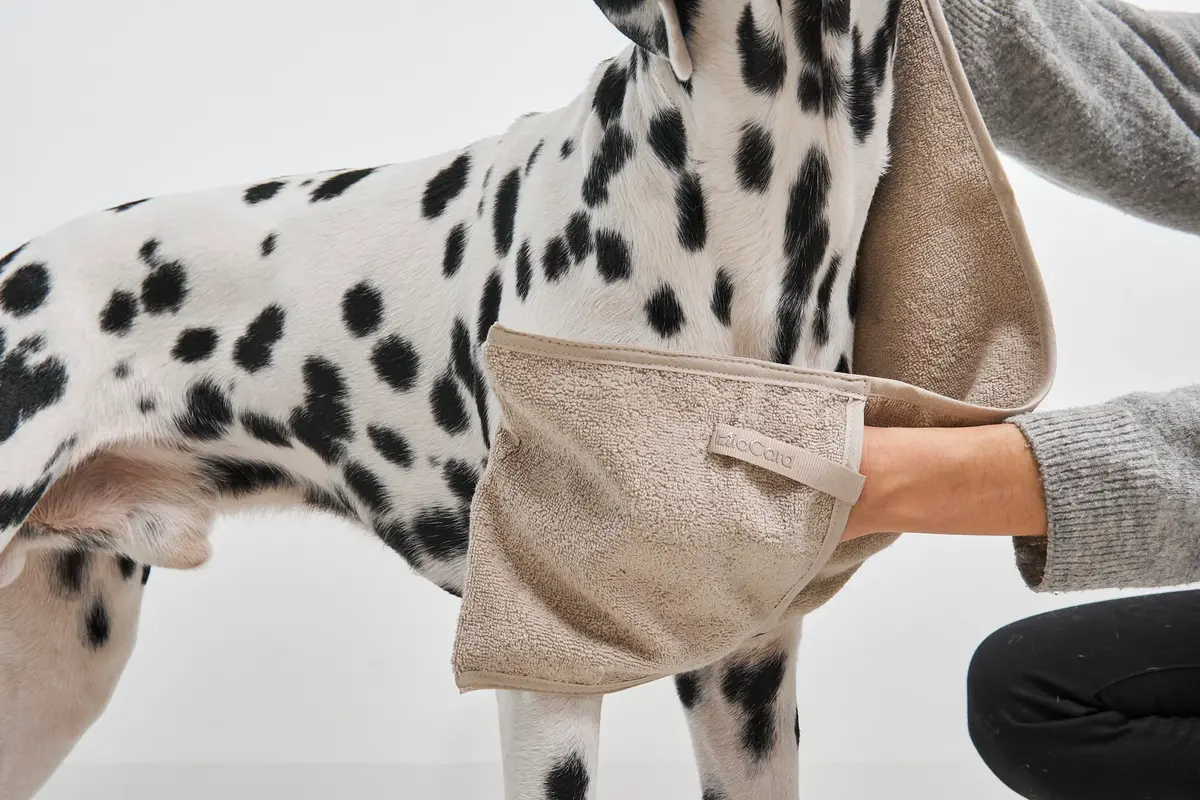 Cane Mano, Honden Droog Doek, Midnight