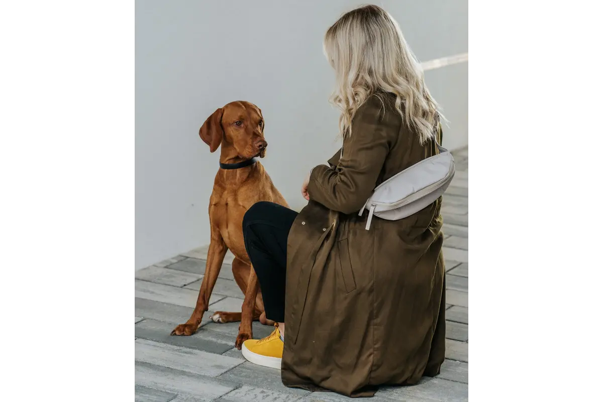 Cane Cinta, Riemtas, Greige