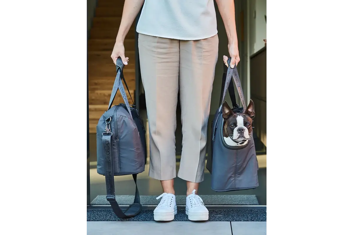 Cane Vacanza Set, Weekender Set, Asphalt